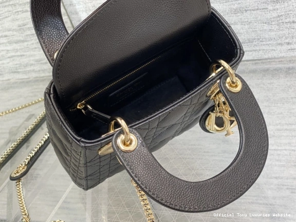Tony Luxuries Calfskin Lady diro Mini 0818